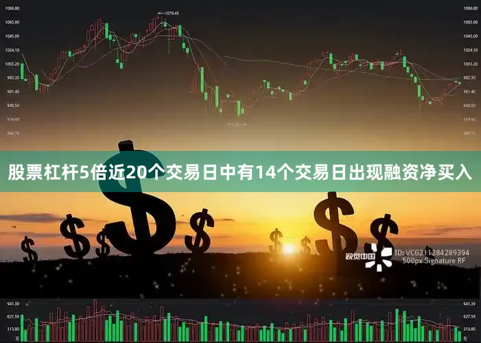 股票杠杆5倍近20个交易日中有14个交易日出现融资净买入