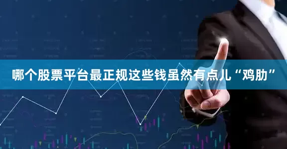 哪个股票平台最正规这些钱虽然有点儿“鸡肋”