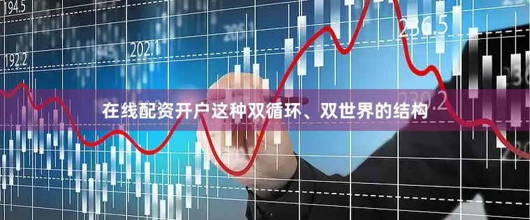 在线配资开户这种双循环、双世界的结构